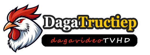 DOME88|Live Đá gà - Xem Thomo đấu gà không trễ, chất lượng HD, không quảng cáo, xem gà Việt Nam C1C2C3C4C5