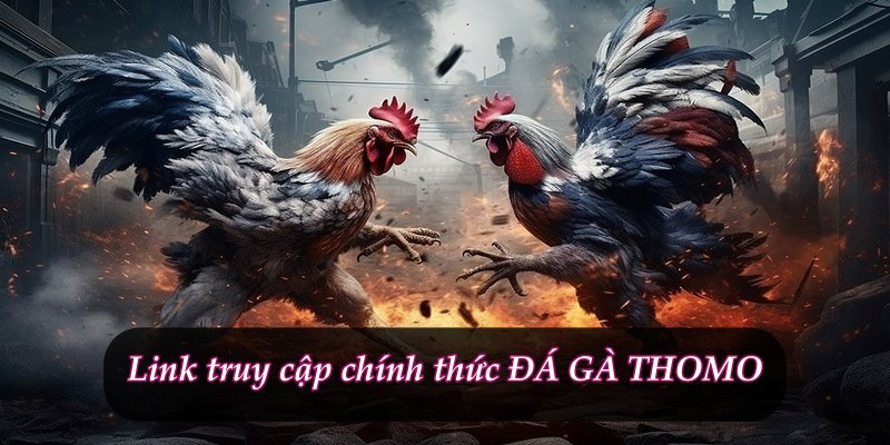 DOME88 đá gà trực tiếp